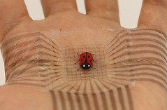 Stretchable Electronic Skin